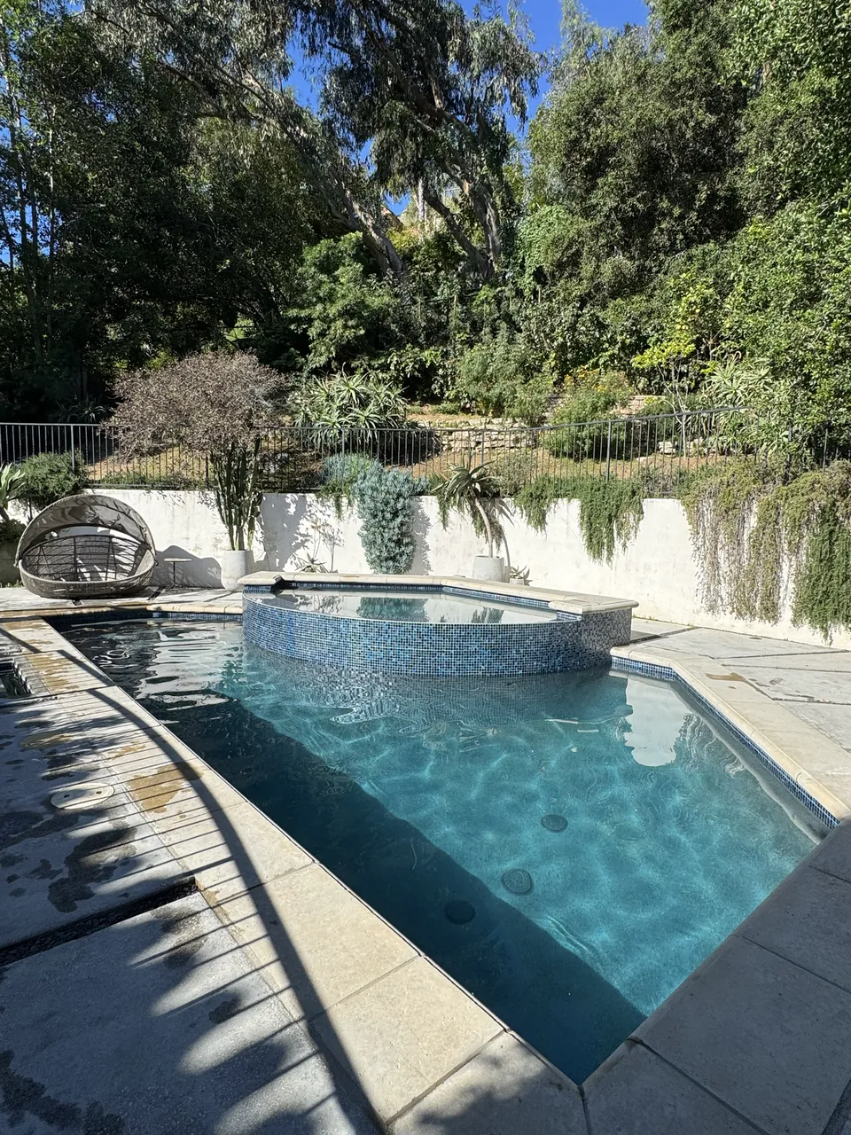 Pool with a raised blue mosaic spa below a garden hillside